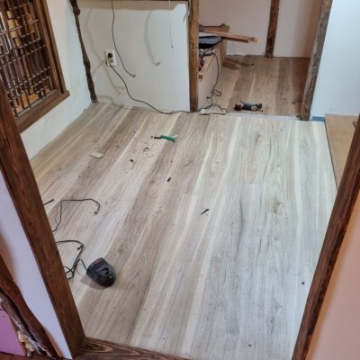 H09 이스턴 오크 (Eastern Oak)